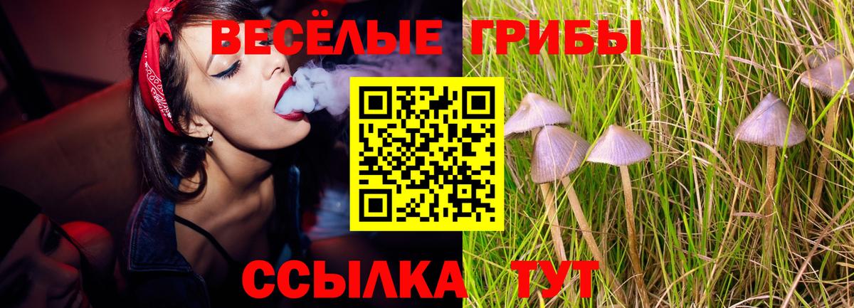 Лсд 25  Метамфетамин  ГАШ  КОКАИН  Гашиш  МЕФ   Мценск  Канабис  Вход с VPN 